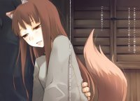 BUY NEW spice and wolf - 165728 Premium Anime Print Poster